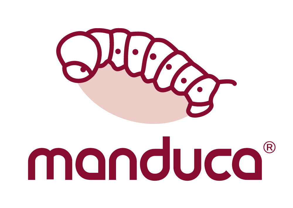 Manduca